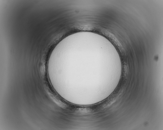 X0000097630541200803211812