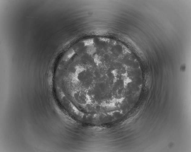 X0000097630542200803211812