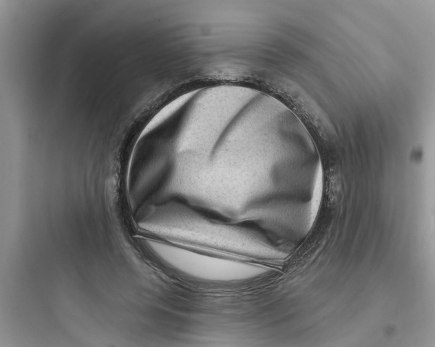 X0000097630544200803211812