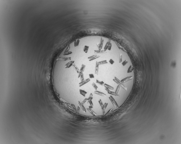 X0000097630545200803211812