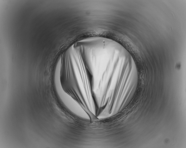 X0000097630546200803211812