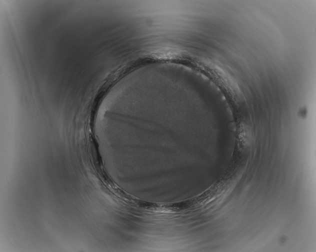 X0000097630547200803211812