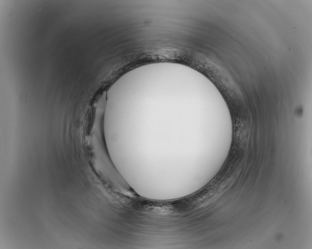 X0000097630548200803211812