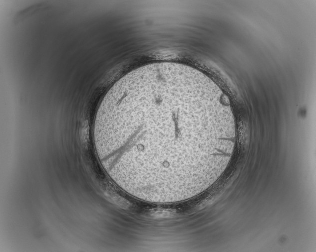 X0000097630549200803211812