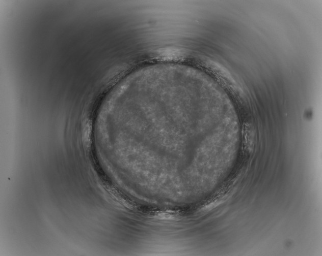 X0000097630550200803211812