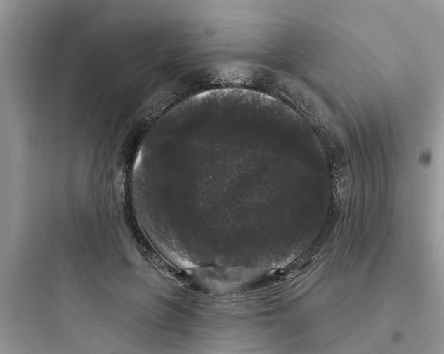 X0000097630551200803211812