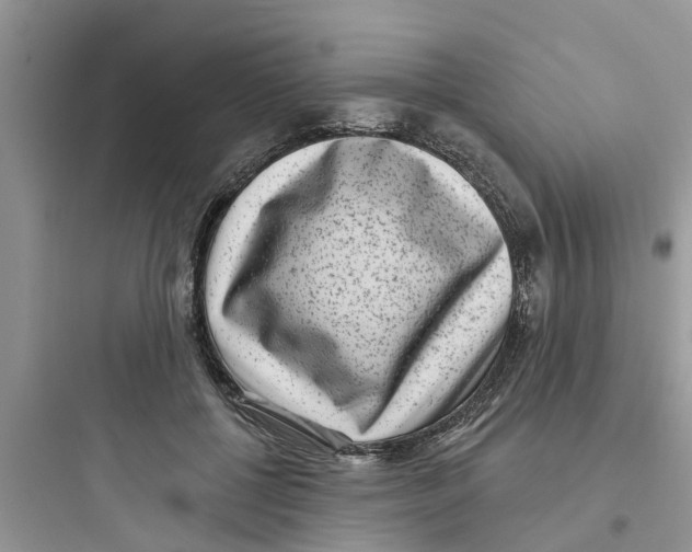 X0000097630552200803211812