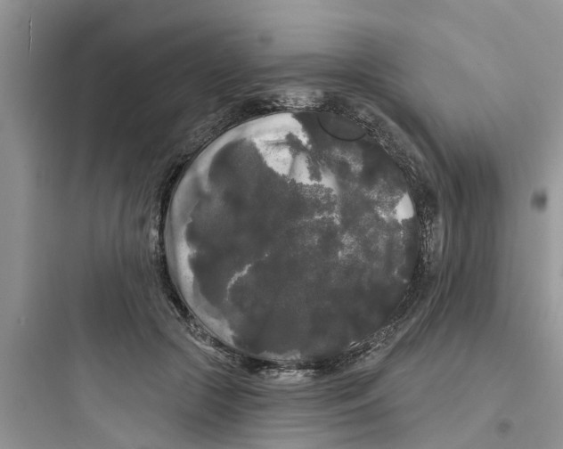 X0000097630553200803211812