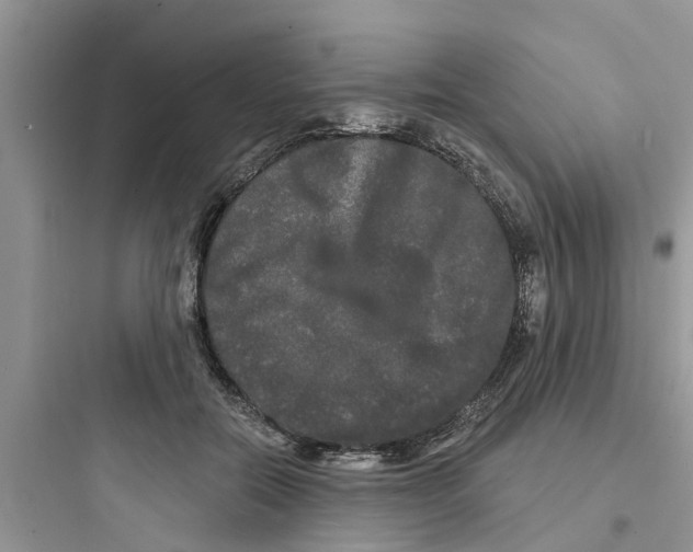 X0000097630554200803211812