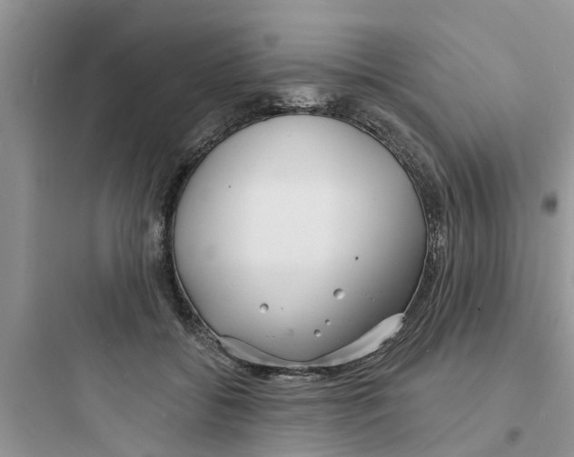 X0000097630556200803211812