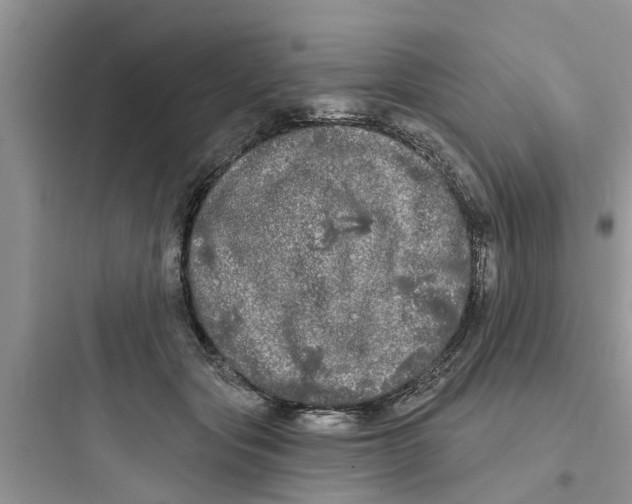 X0000097630557200803211812