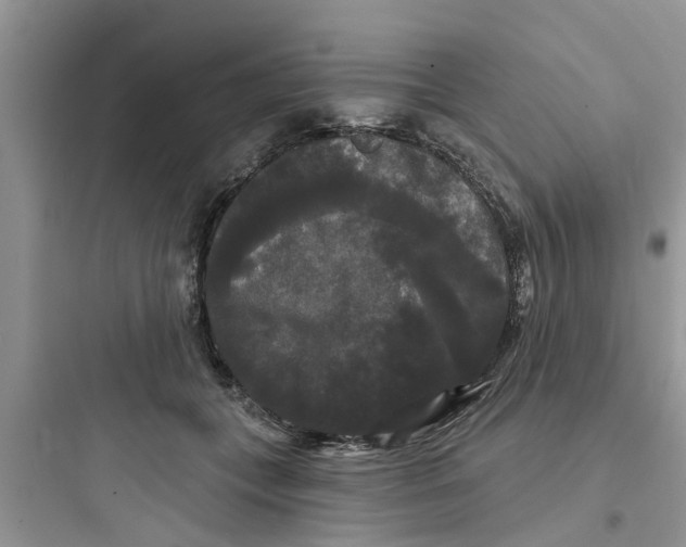 X0000097630559200803211812