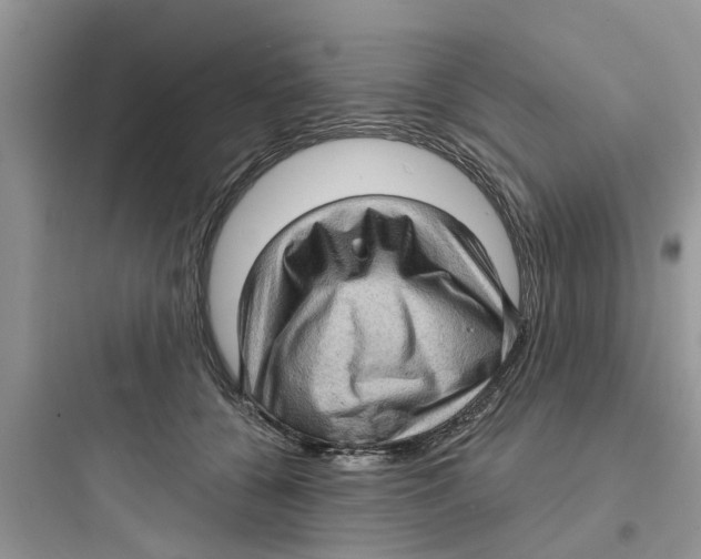 X0000097630560200803211812