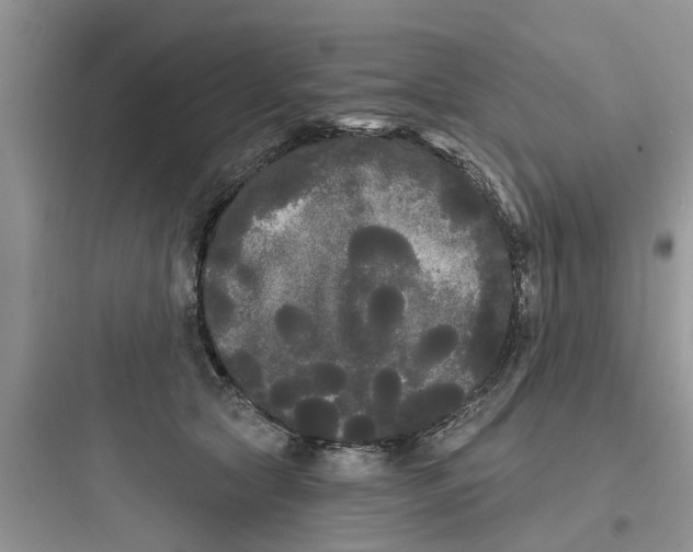 X0000097630561200803211812