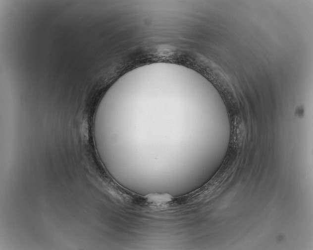 X0000097630562200803211812