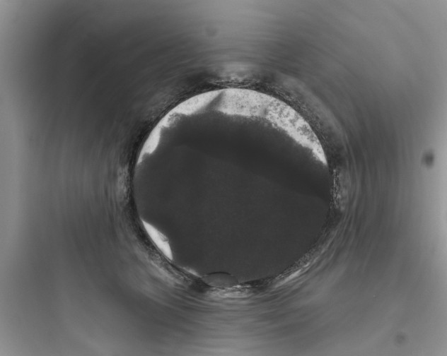 X0000097630563200803211812