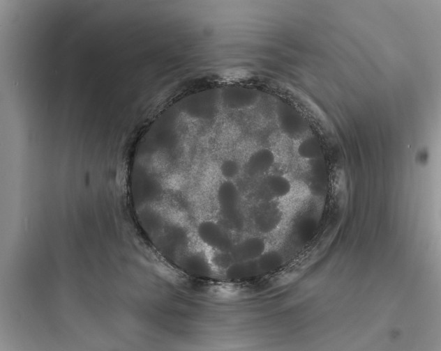 X0000097630565200803211812