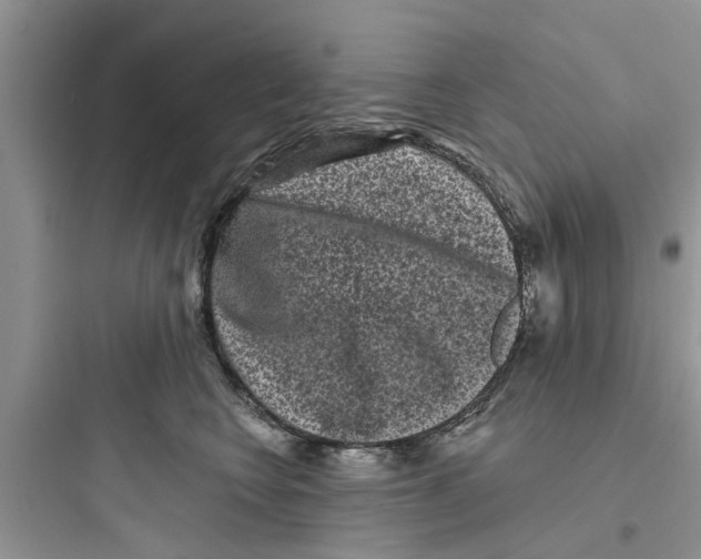 X0000097630566200803211812