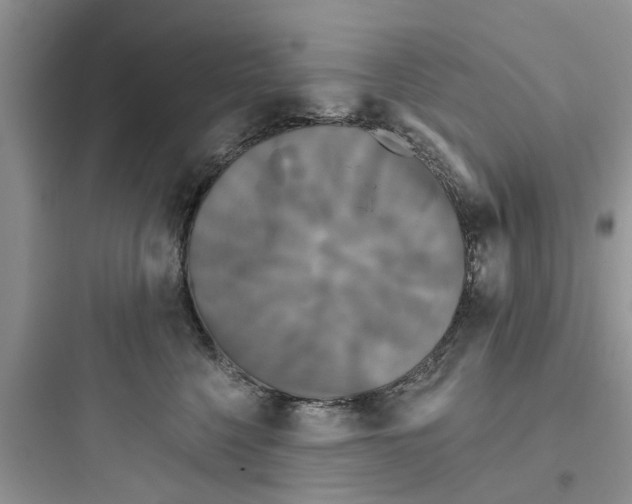 X0000097630568200803211812