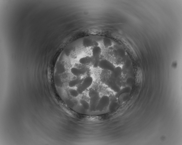 X0000097630569200803211812