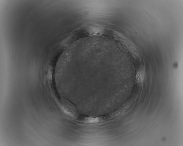 X0000097630570200803211812