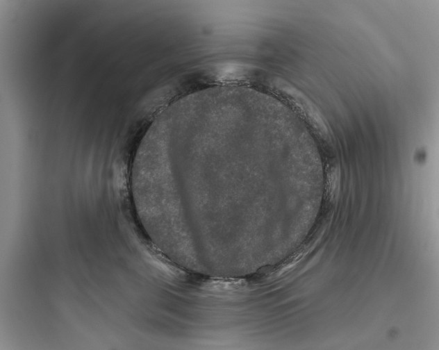 X0000097630571200803211812