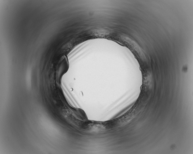 X0000097630572200803211812