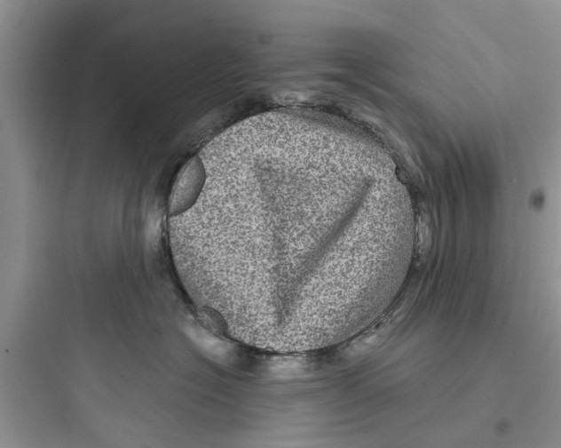 X0000097630574200803211812