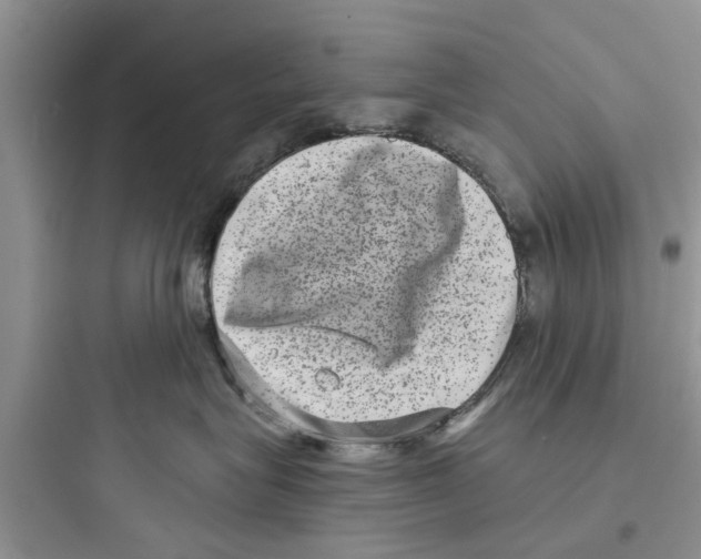 X0000097630575200803211812