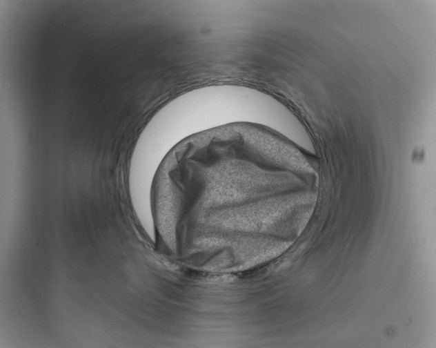 X0000097630576200803211812