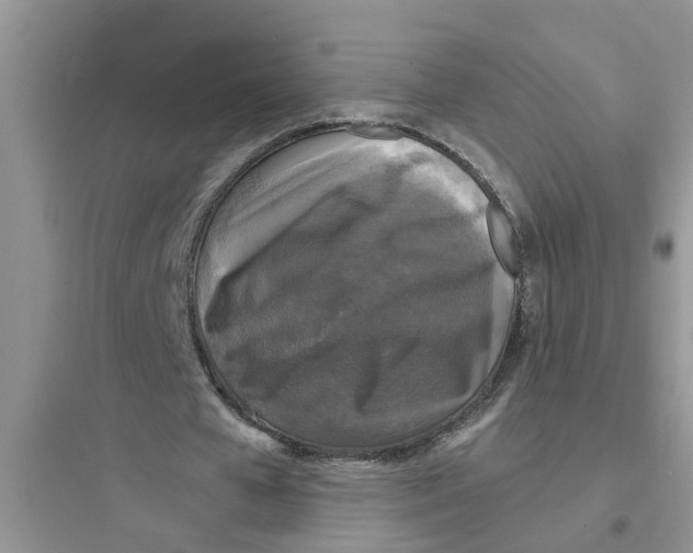 X0000097630577200803211811