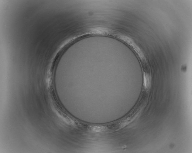 X0000097630579200803211811