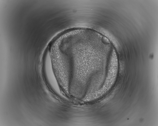 X0000097630580200803211811