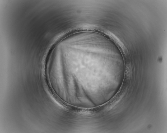 X0000097630581200803211811