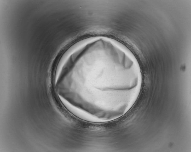 X0000097630582200803211811