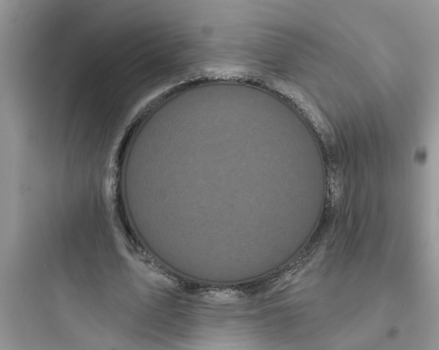 X0000097630583200803211811