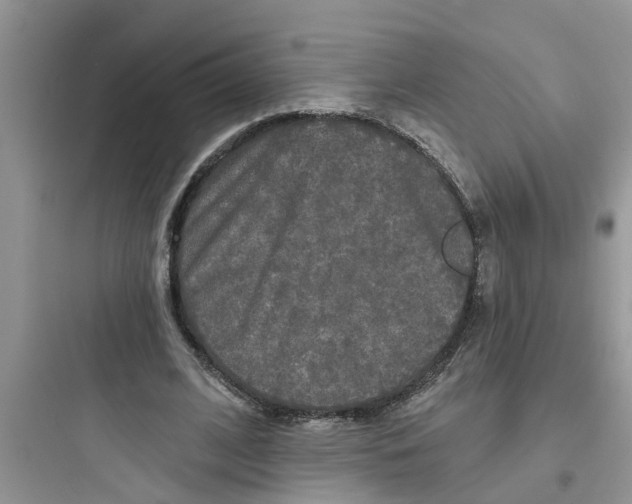 X0000097630584200803211811