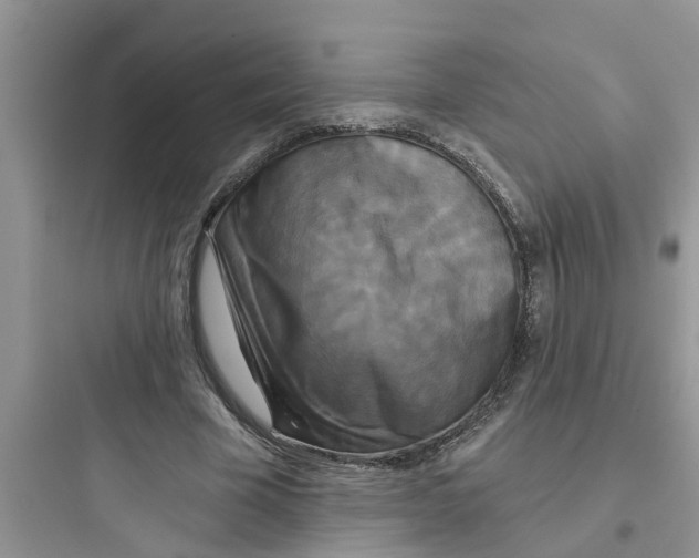 X0000097630585200803211811