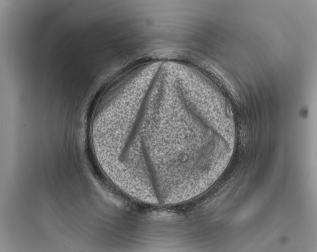 X0000097630586200803211811