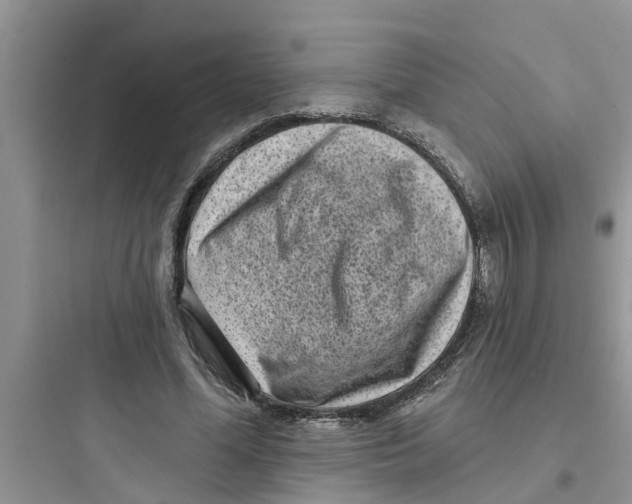 X0000097630588200803211811