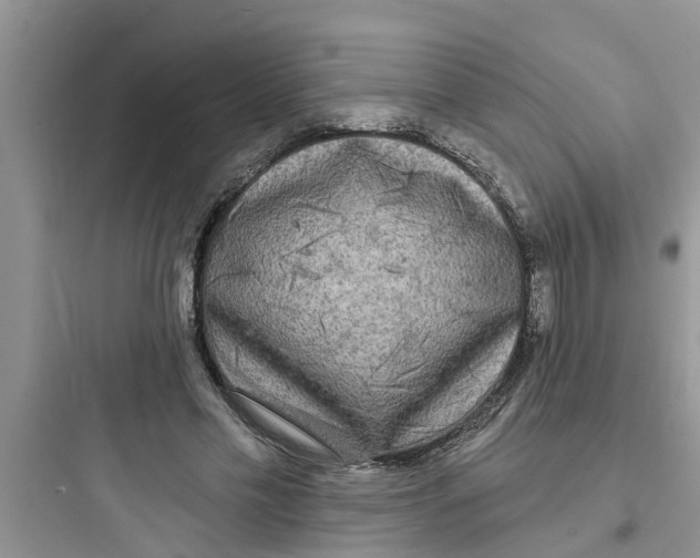 X0000097630589200803211811