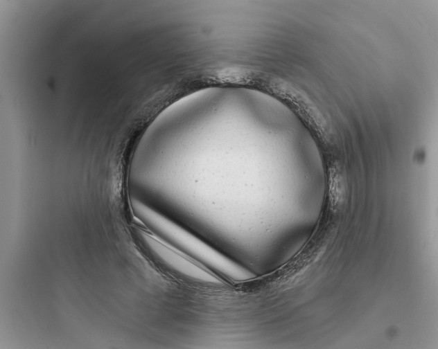 X0000097630593200803211811