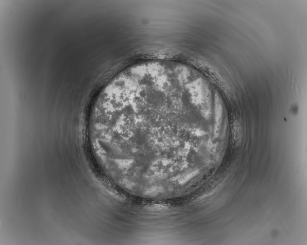 X0000097630594200803211811