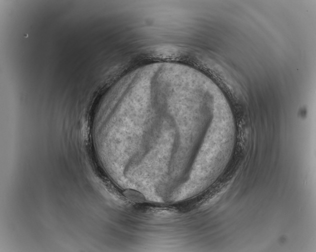 X0000097630597200803211811