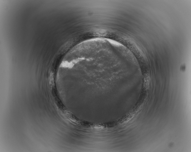 X0000097630598200803211811