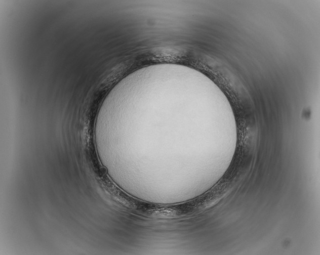 X0000097630599200803211811