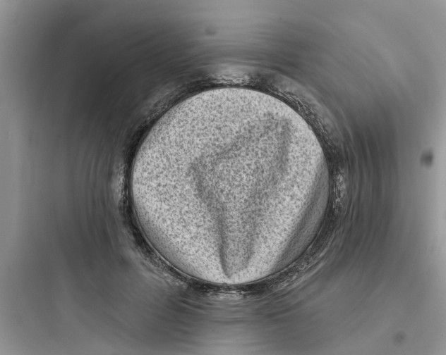 X0000097630600200803211811