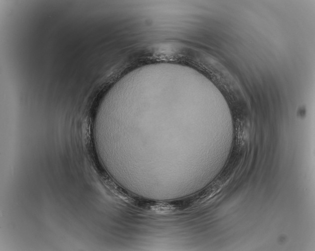 X0000097630603200803211811