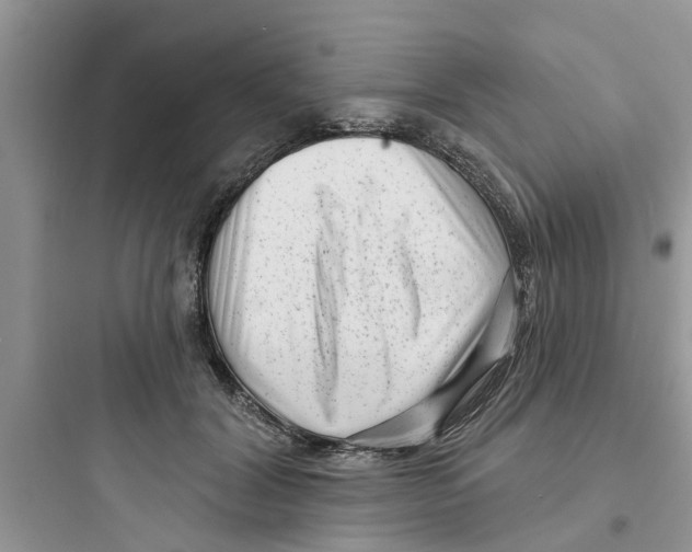 X0000097630604200803211811