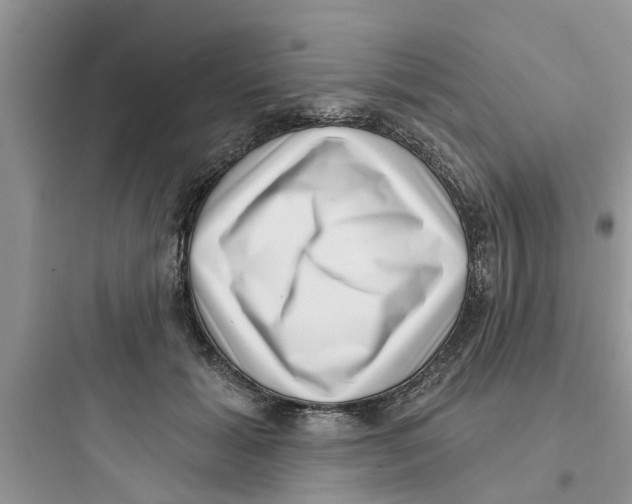 X0000097630605200803211811